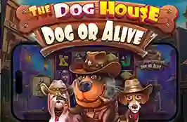 The Dog House Dog Or Alive